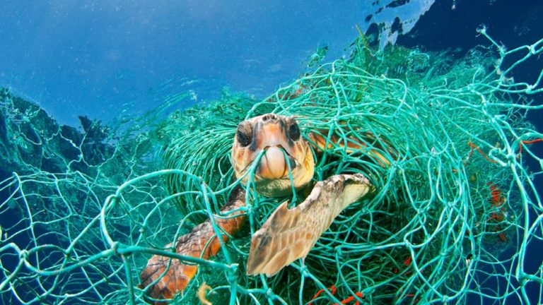 Mediterrânico em risco de ser « mar de plástico » com impacto em Portugal