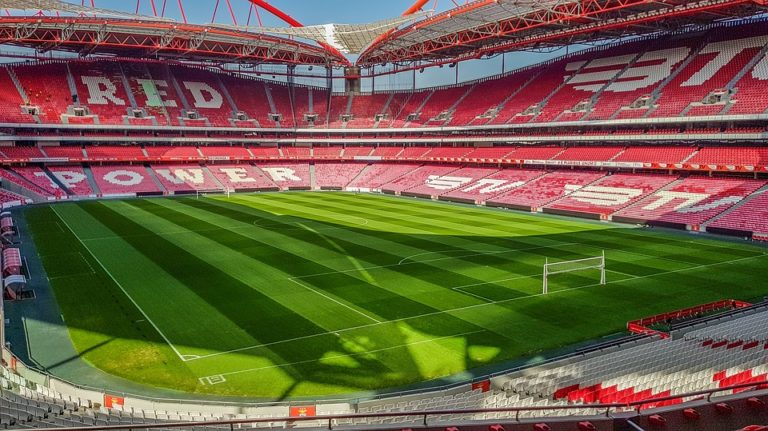 46% dos portugueses são do Benfica, quase o dobro dos do Porto ou do Sporting – sondagem