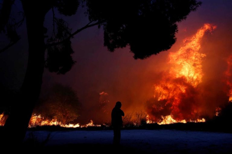 Incêndios/Grécia: Portuguesa em Atenas confia que fogo está controlado