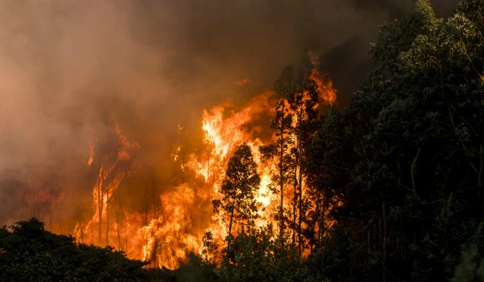 Graves incêndios, de novo, em Portugal. Pelo menos 20 feridos