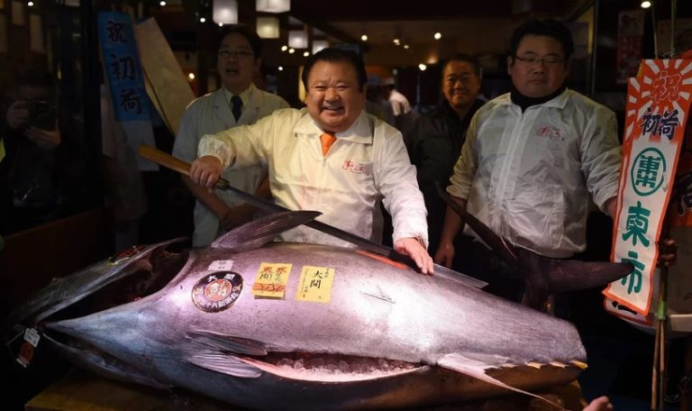 Atum rabilho bate recorde e é vendido em Tóquio por 2,7 milhões de euros