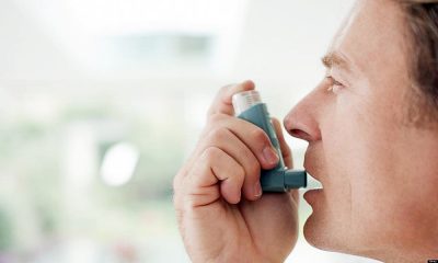 Mais de 700 mil portugueses com asma e pouco mais de metade tem doença controlada