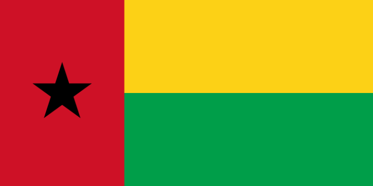Guiné-Bissau: Campanha eleitoral começa com dois primeiros-ministros e dois governos