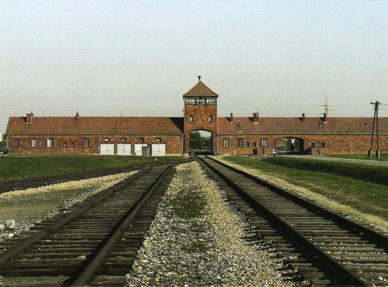 Auschwitz: o horror máximo aconteceu. Crónica de Luísa Semedo