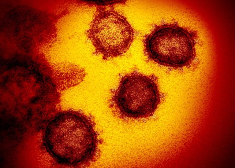 O coronavírus não está vivo. É por isso que é tão difícil de matar