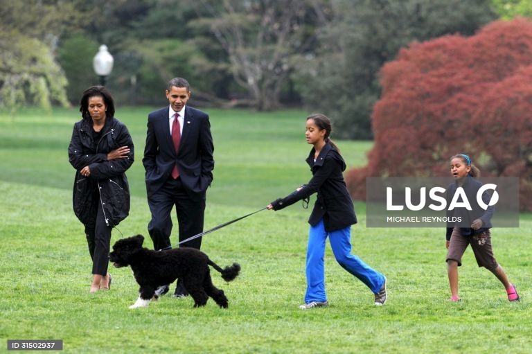 Morreu Bo, o cão de água português de Barack Obama