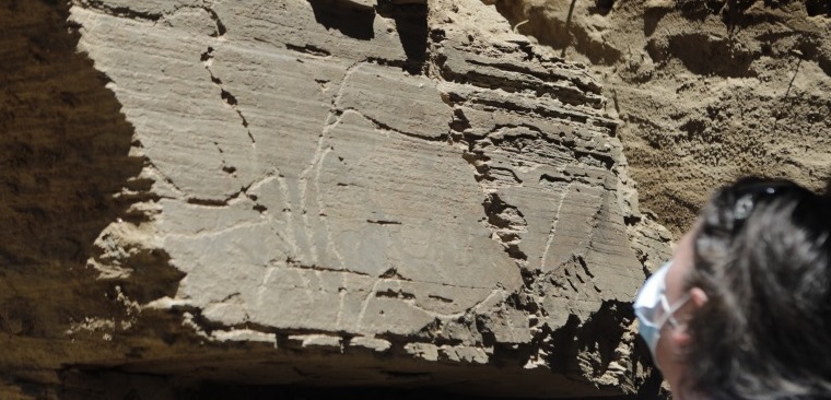Investigadores admitem ter descoberto no Côa o maior painel de arte rupestre ao ar livre