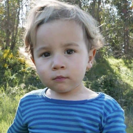 A criança de dois anos e meio que estava desaparecida desde quarta-feira foi encontrada com vida numa zona florestal