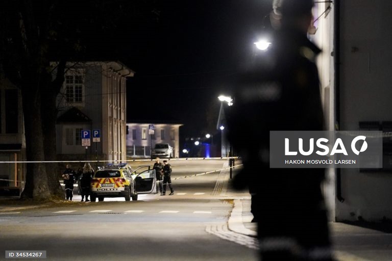 Ataque com arco e flechas na Noruega fez cinco mortos e dois feridos