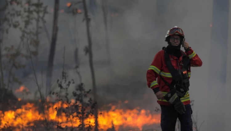 Incêndios na Europa. Pelo menos cinco mortos em tempestades no norte de Itália e incêndios no sul