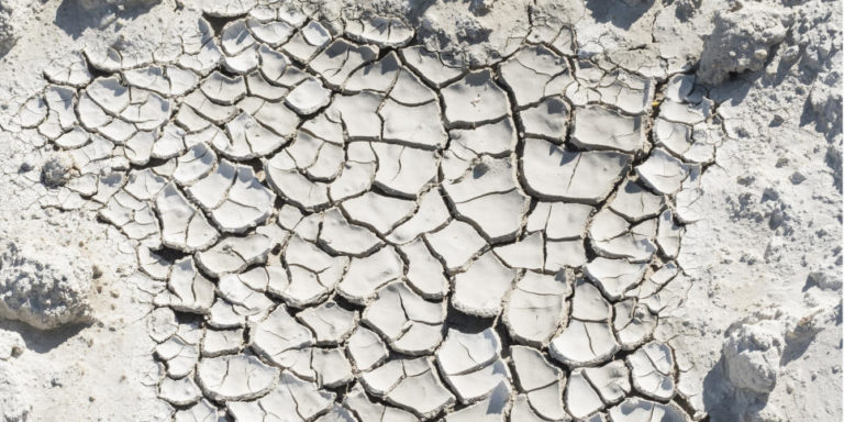 Grande parte de França em alerta devido à seca prolongada