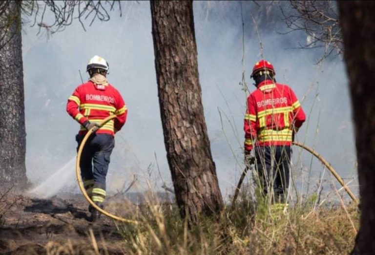 Incêndios: Frente ativa arde com intensidade no Parque Natural do Alvão em Vila Real