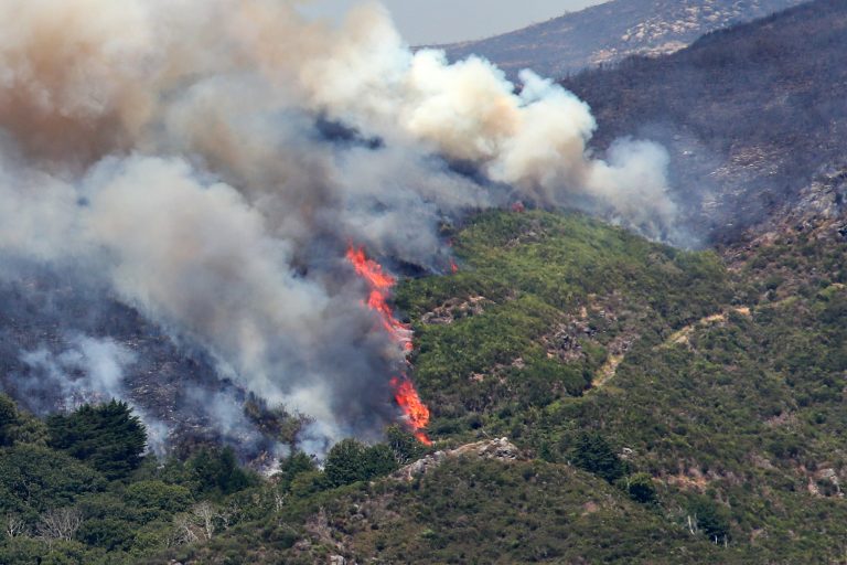 Incêndios/Madeira: Área ardida ultrapassa 5.000 hectares