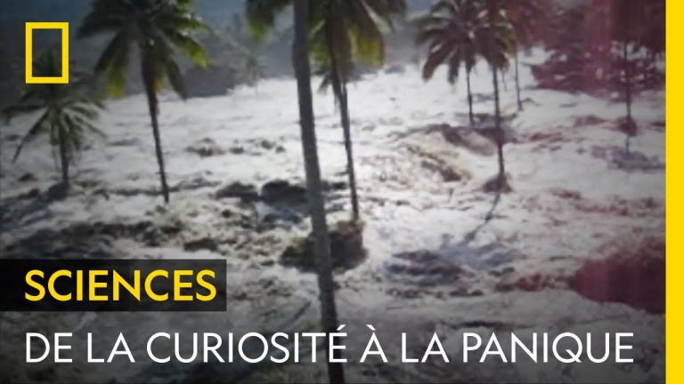 O tsunami no Sudeste Asiático foi há 20 anos