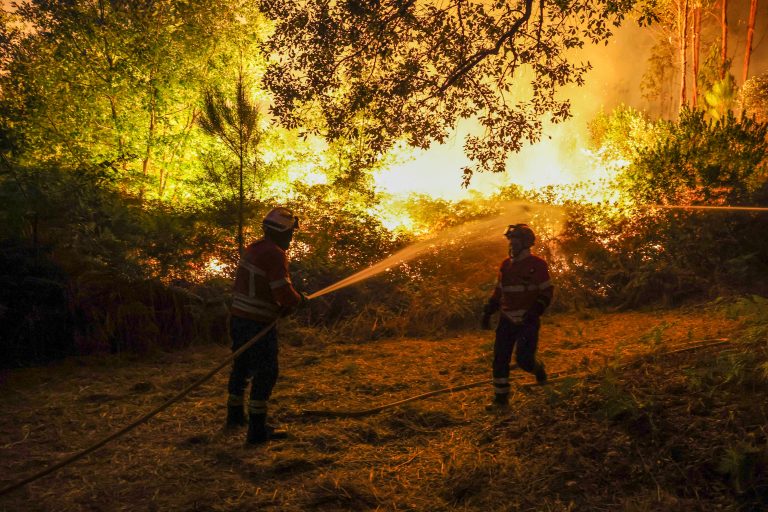 Emigrantes contra exclusão nos apoios à reconstrução das casas ardidas pelos fogos