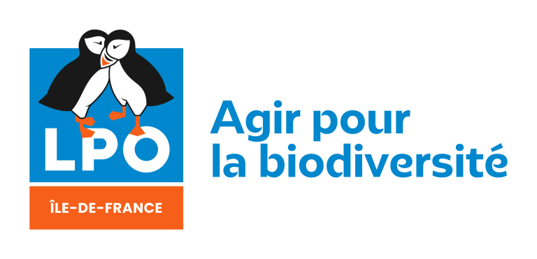 « À tire-d’aile » (n°3) – Les oiseaux hivernants – ALFA 10/13 et LPO