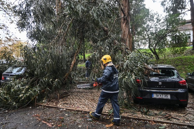 Mau tempo: Registados dois mortos, nove deslocados e 1.292 ocorrências até às 13:00 – Proteção Civil