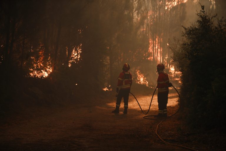Incêndios: Estado de alerta deve manter-se na próxima semana – MAI