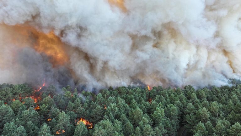 Incêndio de grandes dimensões na floresta de Fontainebleau
